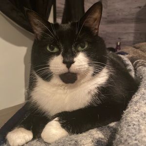 Meet your Posher, Yannick